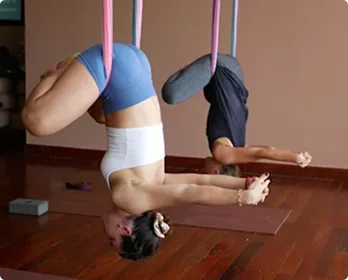Grid Image 3